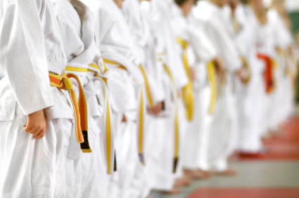 Martial Arts Insurance in Spring, Harris County, TX